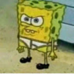 Meet your Posher, Sammy